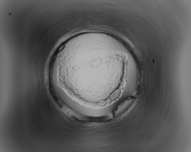 X0000086781506200705111744