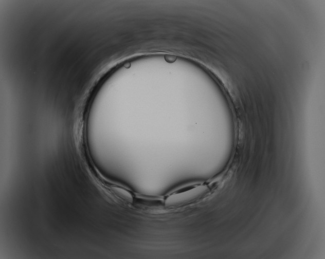 X0000086781507200705111744