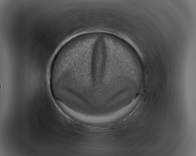 X0000086781508200705111745