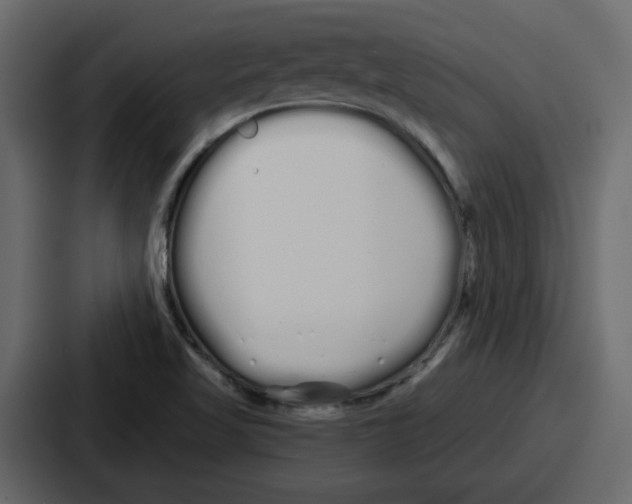 X0000086781509200705111745