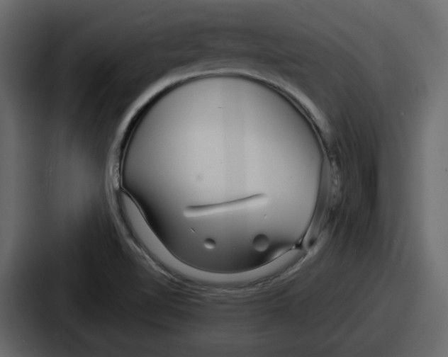 X0000086781510200705111745