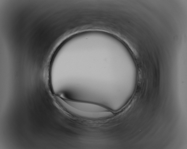 X0000086781511200705111745