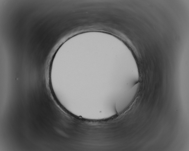 X0000086781512200705111745