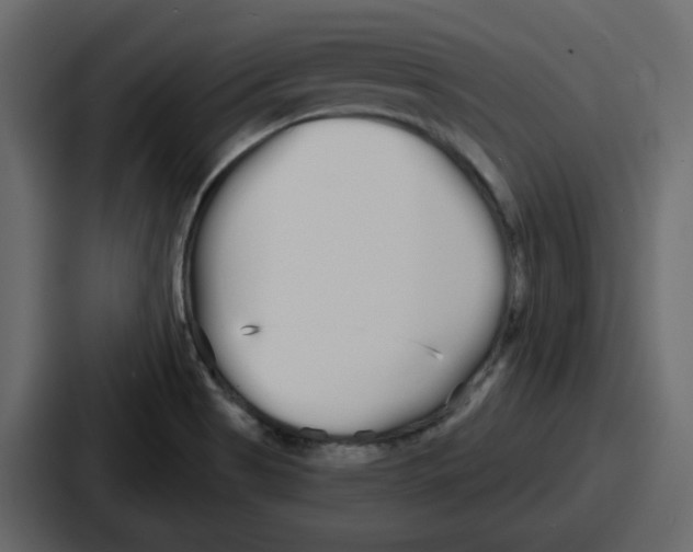 X0000086781513200705111745