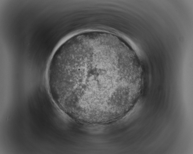 X0000086781514200705111745