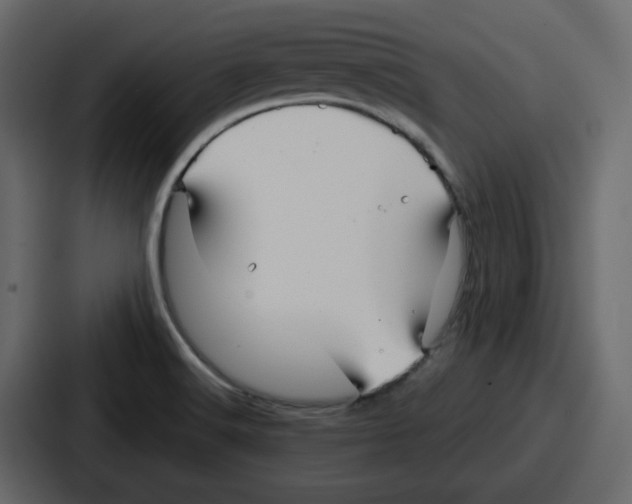 X0000086781516200705111745