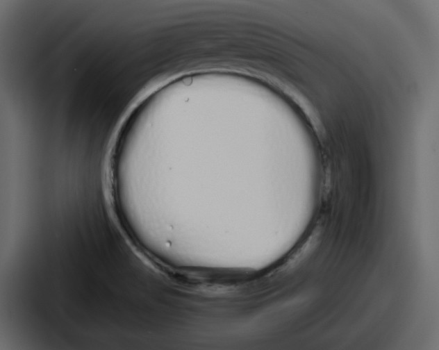 X0000086781517200705111745