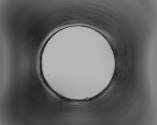 X0000086781518200705111745