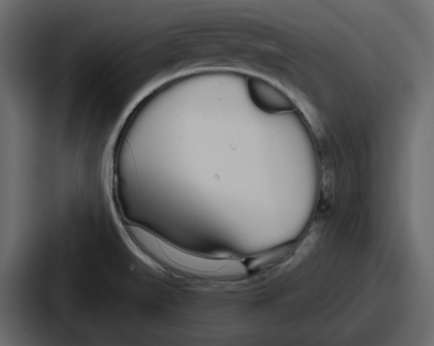 X0000086781519200705111745