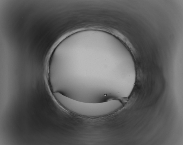 X0000086781520200705111745