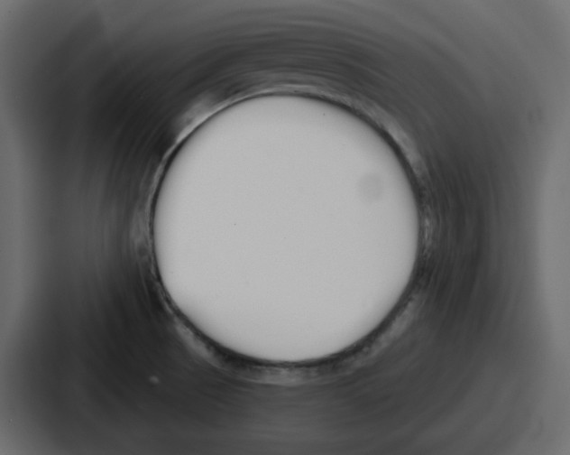 X0000086781521200705111745