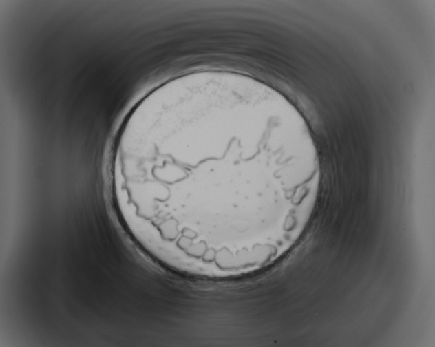 X0000086781522200705111745