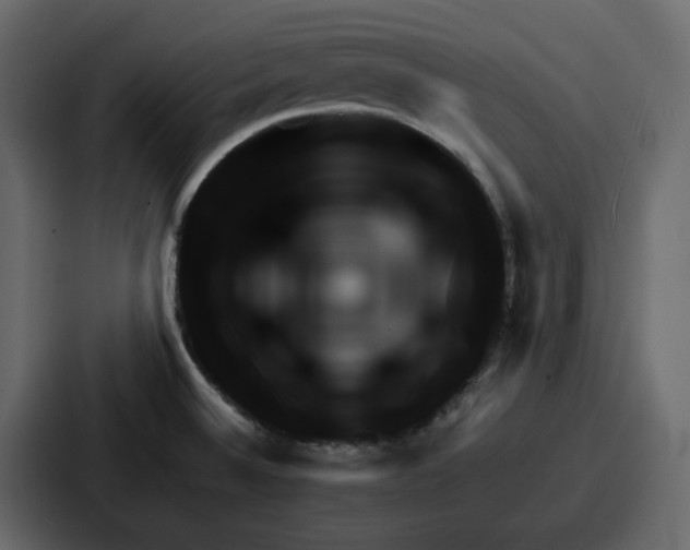 X0000086781524200705111745