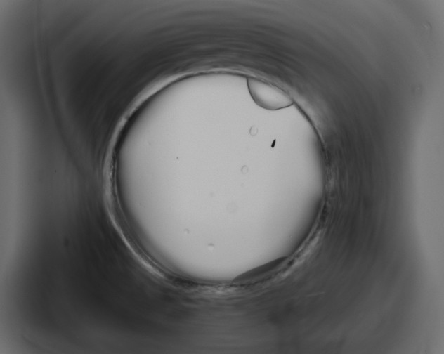 X0000086781525200705111745