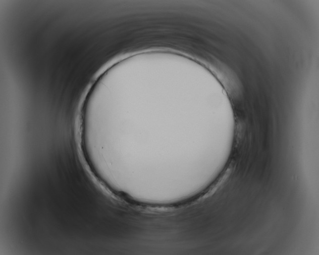 X0000086781526200705111745