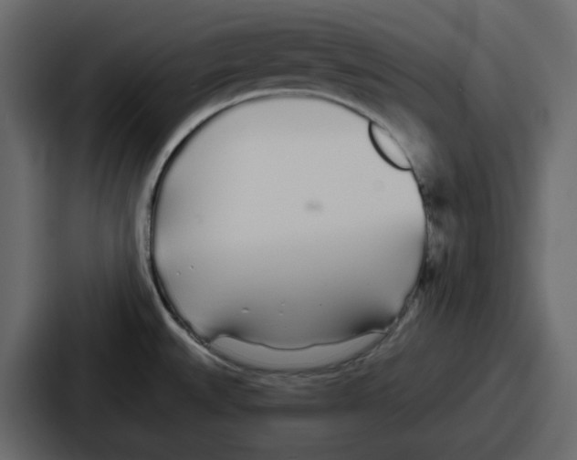 X0000086781527200705111745