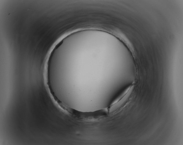 X0000086781528200705111745