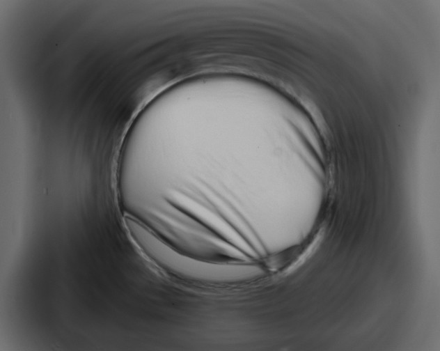 X0000086781529200705111745