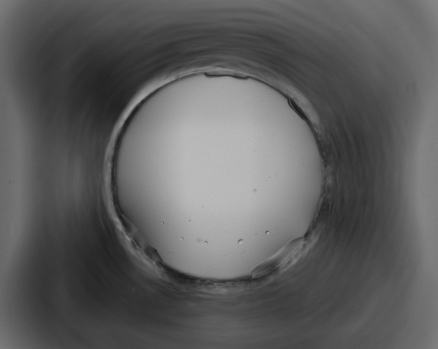 X0000086781530200705111745