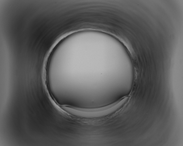 X0000086781531200705111745