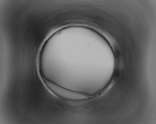 X0000086781533200705111745