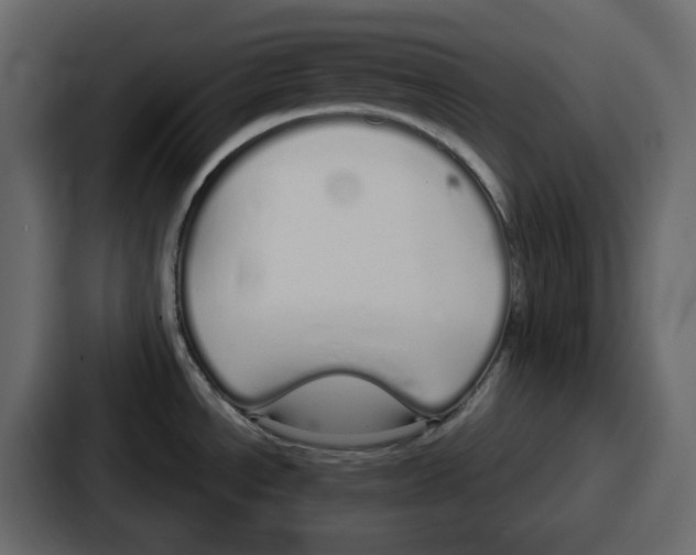 X0000086781534200705111745