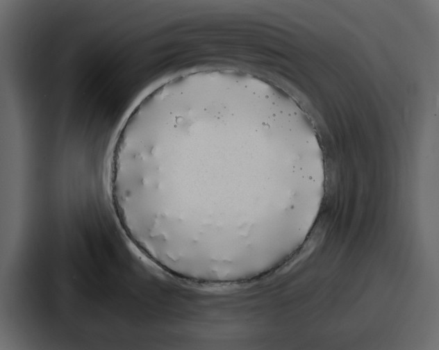 X0000086781535200705111745