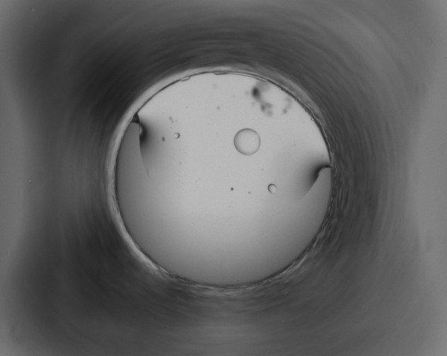 X0000086781536200705111745