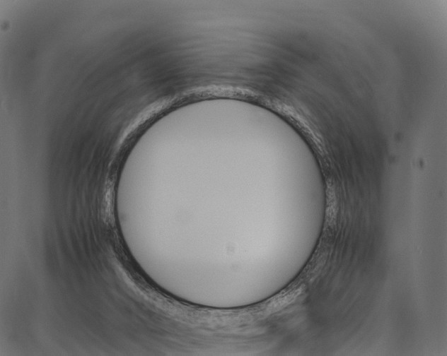 X0000086790016200704130906