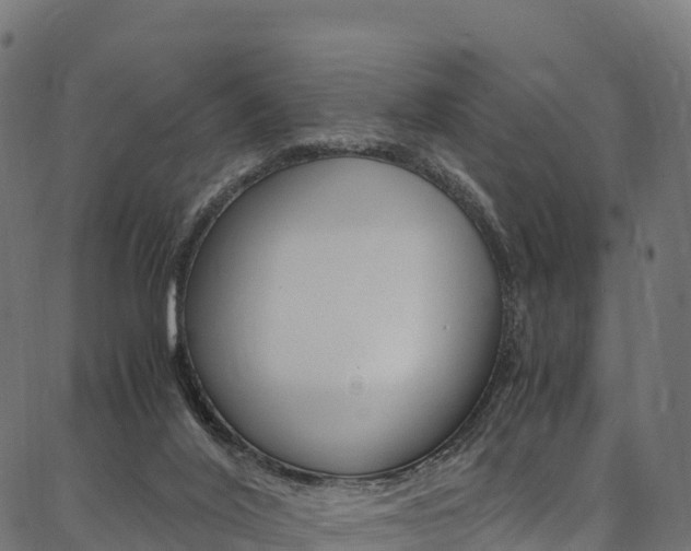 X0000086790020200704130906