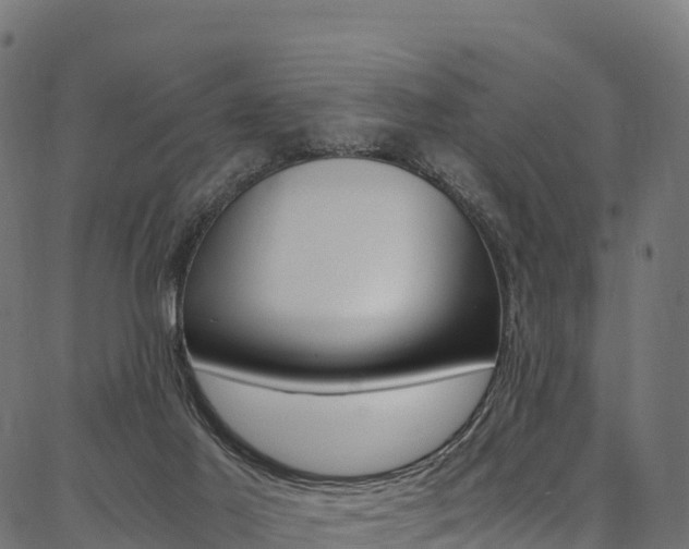 X0000086790021200704130906