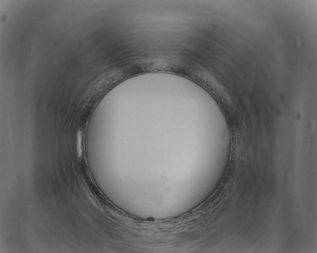 X0000086790022200704130906