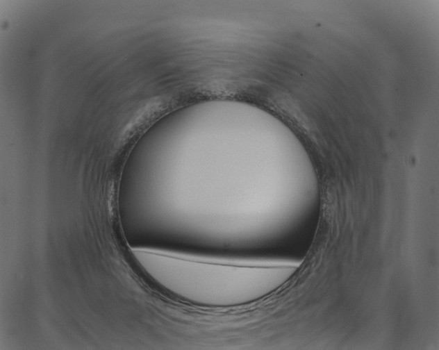 X0000086790023200704130906