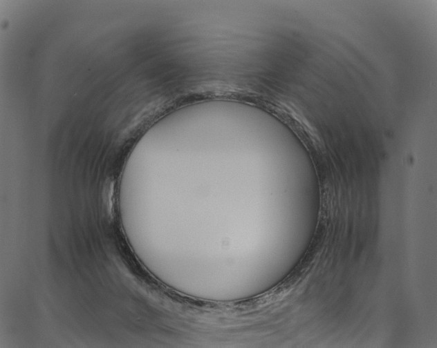 X0000086790024200704130906