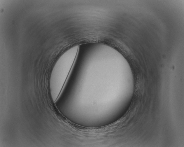 X0000086790025200704130906