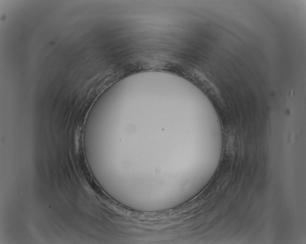X0000086790026200704130906
