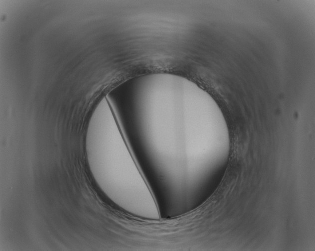 X0000086790027200704130906
