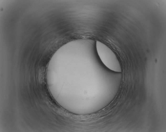X0000086790030200704130906