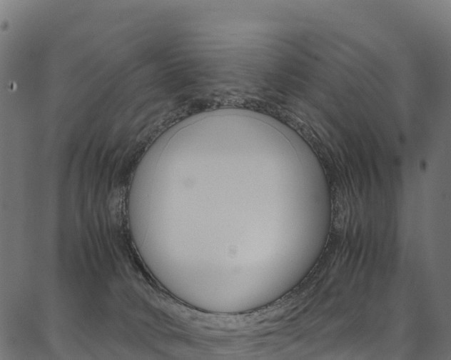 X0000086790034200704130906