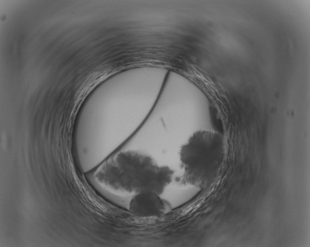 X0000086790049200704130905