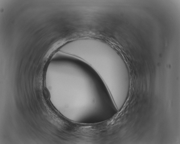 X0000086790054200704130905