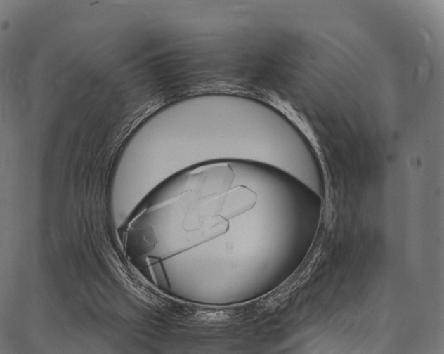 X0000086790057200704130905