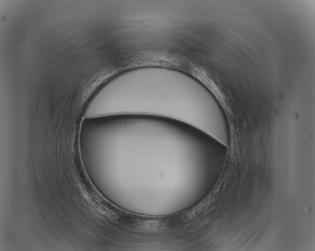 X0000086790058200704130905