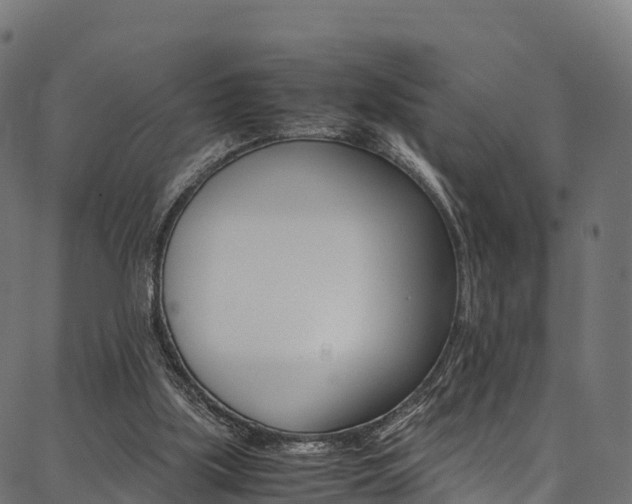 X0000086790059200704130905