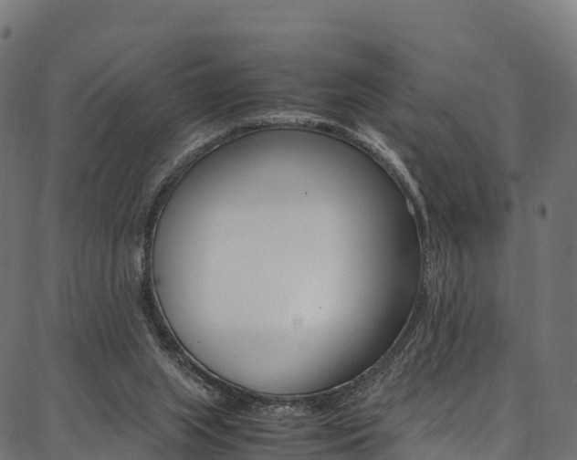 X0000086790063200704130905