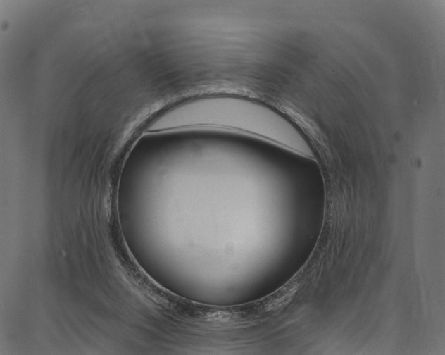 X0000086790064200704130905