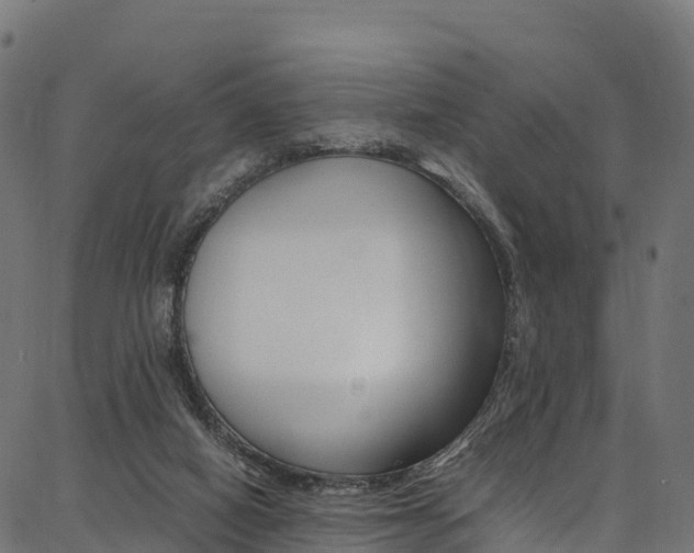 X0000086790066200704130905