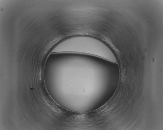 X0000086790068200704130905