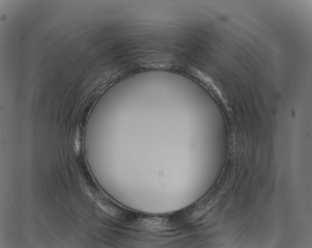 X0000086790069200704130905