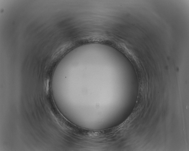 X0000086790070200704130905